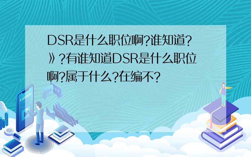 DSR是什么职位啊?谁知道?》?有谁知道DSR是什么职位啊?属于什么?在编不?