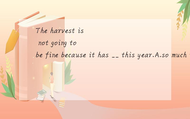 The harvest is not going to be fine because it has __ this year.A.so much rain B.so little rain