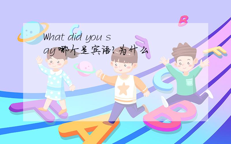 What did you say 哪个是宾语?为什么