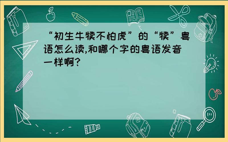 “初生牛犊不怕虎”的“犊”粤语怎么读,和哪个字的粤语发音一样啊?