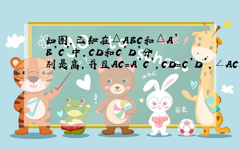 如图,已知在△ABC和△A′B′C′中,CD和C′D′分别是高,并且AC=A′C′,CD=C′D′,∠ACB=∠A′C′B′.求证: △ABC≌△A′B′C′