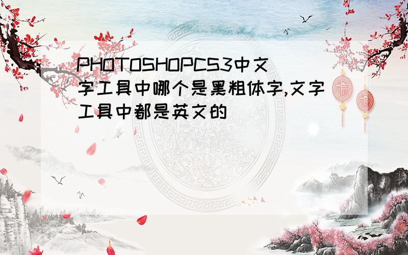 PHOTOSHOPCS3中文字工具中哪个是黑粗体字,文字工具中都是英文的