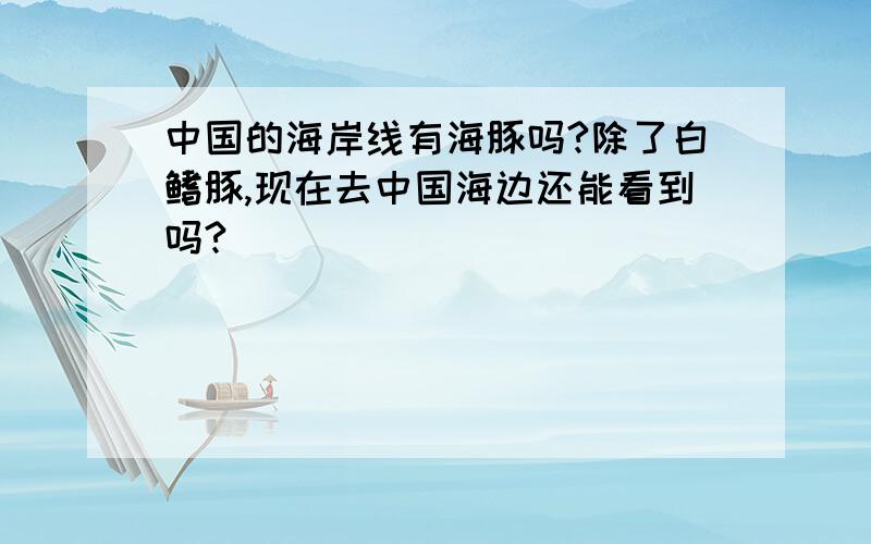 中国的海岸线有海豚吗?除了白鳍豚,现在去中国海边还能看到吗?