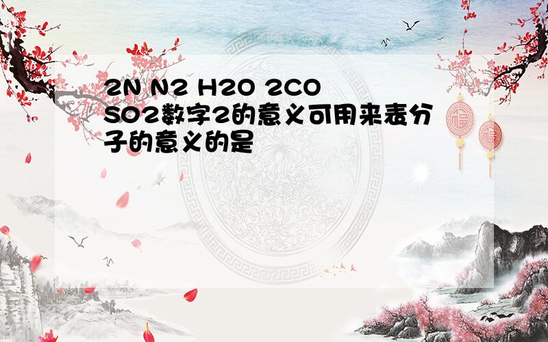 2N N2 H2O 2CO S02数字2的意义可用来表分子的意义的是