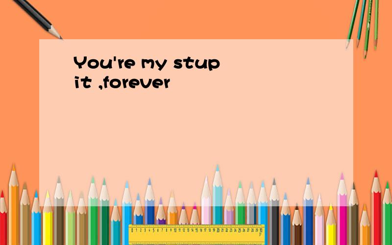 You're my stupit ,forever