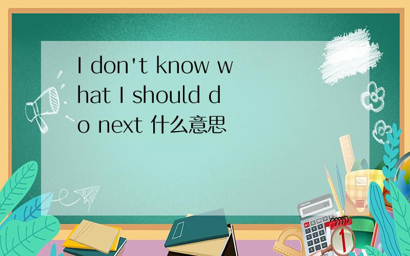 I don't know what I should do next 什么意思