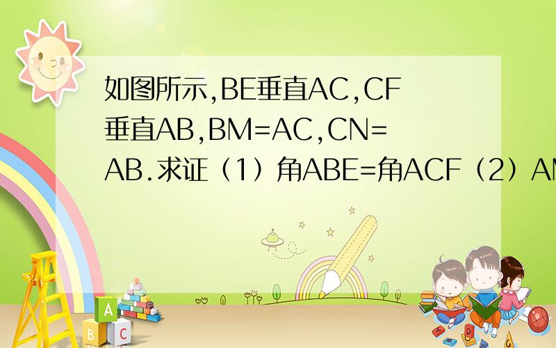 如图所示,BE垂直AC,CF垂直AB,BM=AC,CN=AB.求证（1）角ABE=角ACF（2）AM=AN.