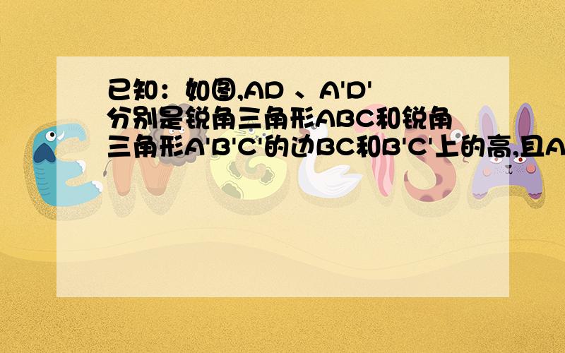 已知：如图,AD 、A'D'分别是锐角三角形ABC和锐角三角形A'B'C'的边BC和B'C'上的高,且AB=A'B',AD=A'D'.请你补充一个条件（     ）使三角形ABC全等于三角形A'B'C',并加以证明