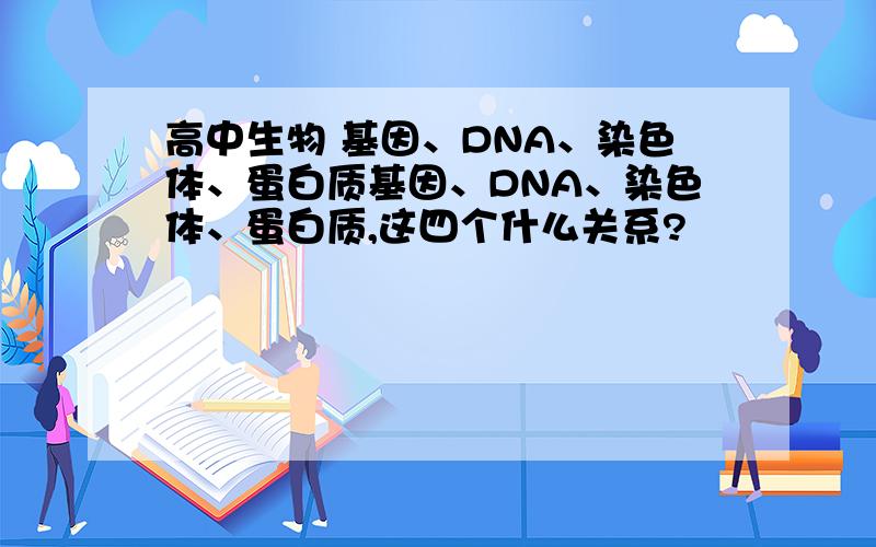 高中生物 基因、DNA、染色体、蛋白质基因、DNA、染色体、蛋白质,这四个什么关系?
