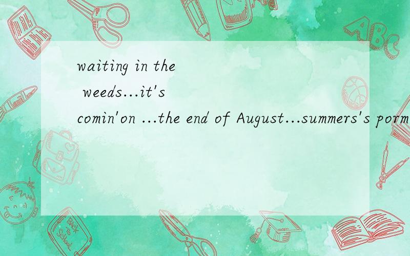 waiting in the weeds...it's comin'on ...the end of August...summers's pormise...almost gone...And though I heard sone wise man say...Than't every dog will hare his day...He never mentioned that...these dog day get so long...I don't know when I ream w