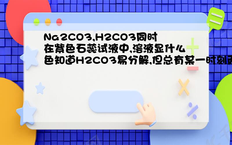 Na2CO3,H2CO3同时在紫色石蕊试液中,溶液显什么色知道H2CO3易分解,但总有某一时刻两者并存,那么石蕊显什么色呢（Na2CO3显碱性,H2CO3显酸性）