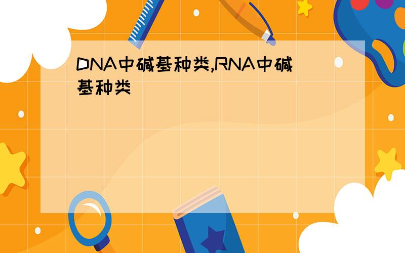 DNA中碱基种类,RNA中碱基种类