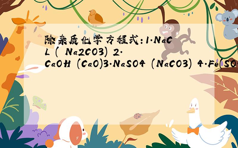 除杂质化学方程式：1.NaCL ( Na2CO3) 2.CaOH (CaO)3.NaSO4 (NaCO3) 4.Fe(SO4)3 (SO4 )