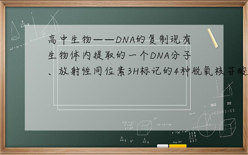 高中生物——DNA的复制现有生物体内提取的一个DNA分子、放射性同位素3H标记的4种脱氧核苷酸,以及酶、ATP等,在实验室中DNA分子的复制,一段时间后,测得容器内共有8个DNA分子,其中不含3H的DNA
