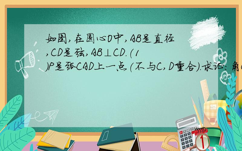 如图,在圆心O中,AB是直径,CD是弦,AB⊥CD.(1)P是弧CAD上一点(不与C,D重合).求证:角CPD=角COB;(2)点P`在劣弧CD上(不与C,D重合)时,角CP`D与角COB有什么数量关系?请证明你的结论.