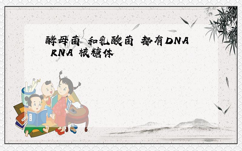酵母菌 和乳酸菌 都有DNA RNA 核糖体