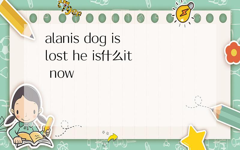 alanis dog is lost he is什么it now