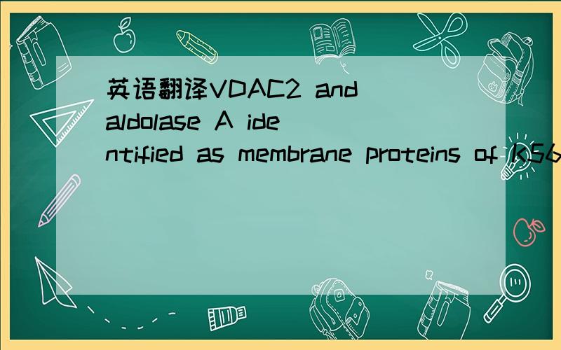英语翻译VDAC2 and aldolase A identified as membrane proteins of K562cells with increased expression under iron deprivationAbstract：We have shown previously that iron deprivationsignificantly stimulates the uptake of non-transferrinferric iron f