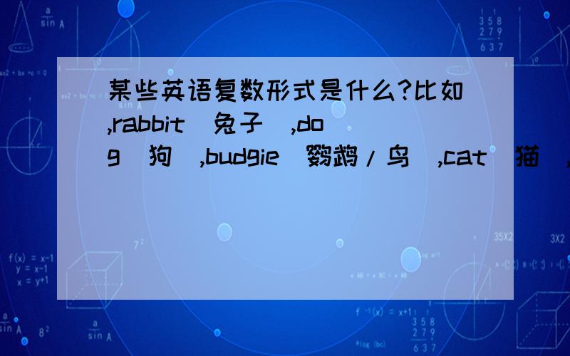 某些英语复数形式是什么?比如,rabbit(兔子）,dog（狗）,budgie（鹦鹉/鸟）,cat（猫）,tiger(老虎）,hamster（仓鼠）,snail,fish(鱼）,mouse（嘴）.以上的中文我不知道是不是对的!可是它们的复数形式我
