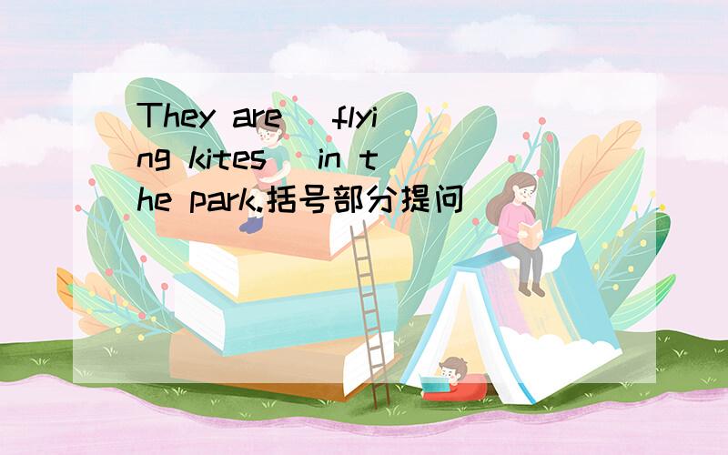 They are （flying kites） in the park.括号部分提问