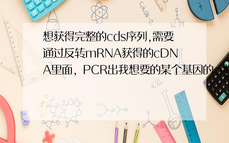 想获得完整的cds序列,需要通过反转mRNA获得的cDNA里面，PCR出我想要的某个基因的cds的完整序列。是否可以在utr区设计引物？还是必须做RACE？
