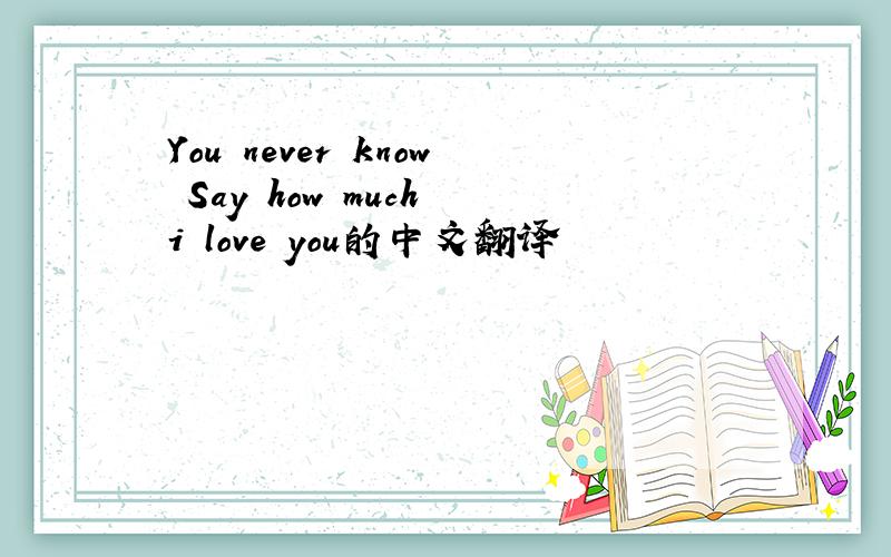 You never know Say how much i love you的中文翻译