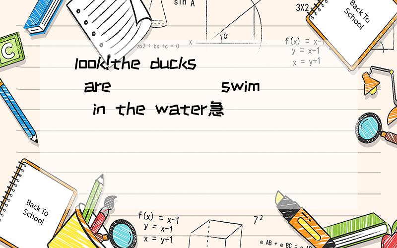 look!the ducks are_____(swim)in the water急