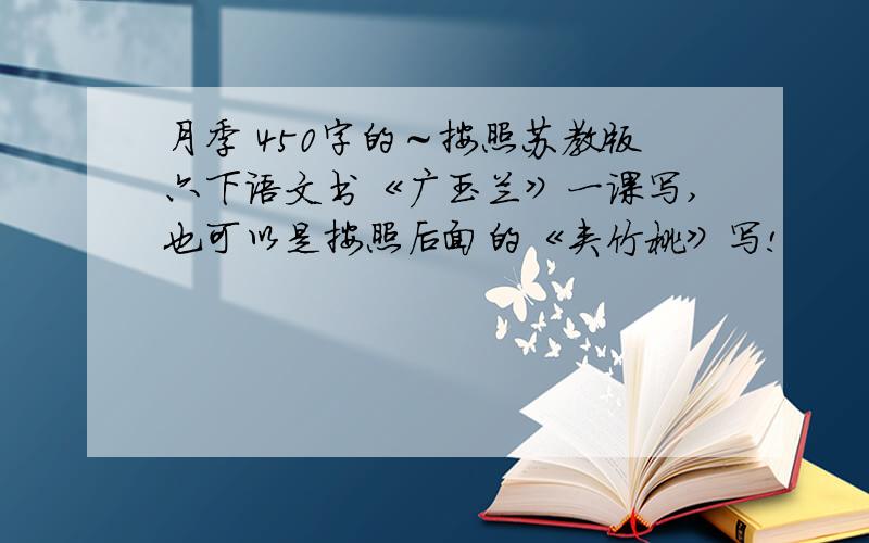 月季 450字的～按照苏教版六下语文书《广玉兰》一课写,也可以是按照后面的《夹竹桃》写!