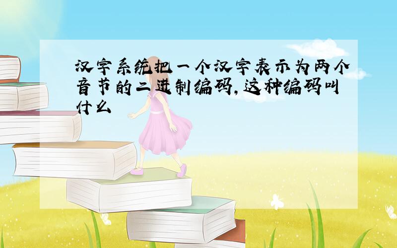 汉字系统把一个汉字表示为两个音节的二进制编码,这种编码叫什么