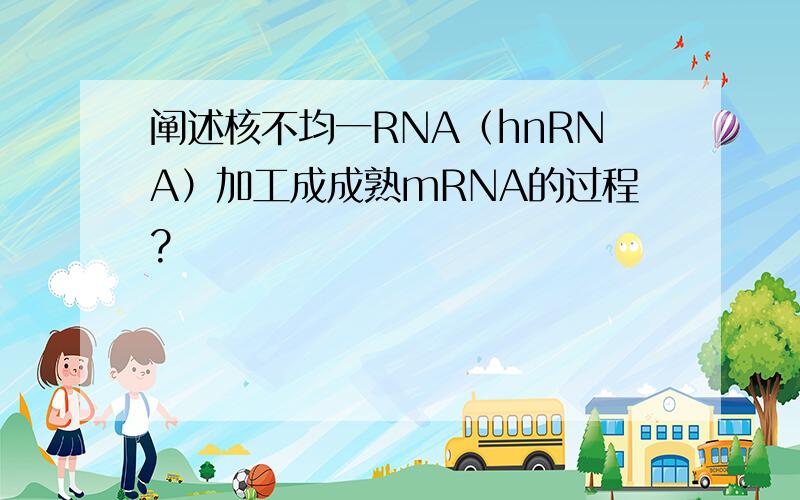 阐述核不均一RNA（hnRNA）加工成成熟mRNA的过程?