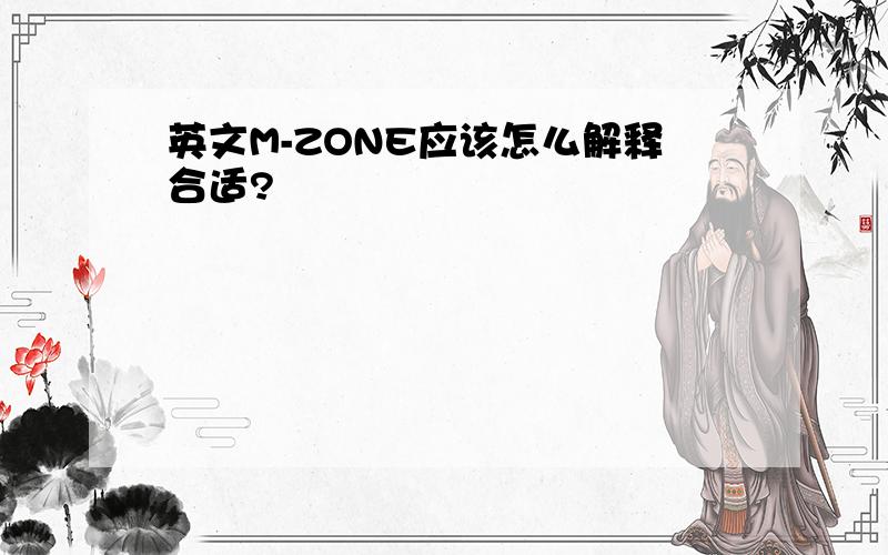 英文M-ZONE应该怎么解释合适?