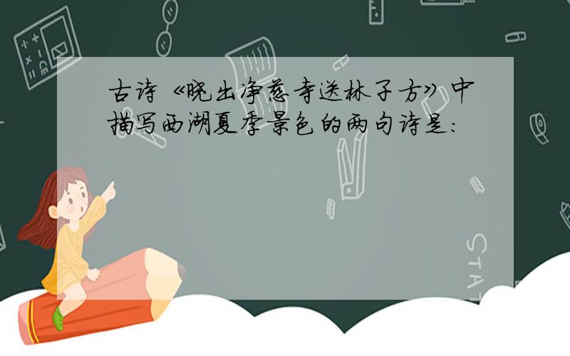 古诗《晓出净慈寺送林子方》中描写西湖夏季景色的两句诗是：