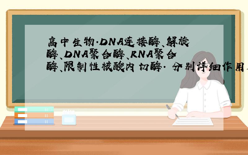 高中生物.DNA连接酶、解旋酶、DNA聚合酶、RNA聚合酶、限制性核酸内切酶. 分别详细作用是怎样高中生物.DNA连接酶、解旋酶、DNA聚合酶、RNA聚合酶、限制性核酸内切酶.分别详细作用是怎样的