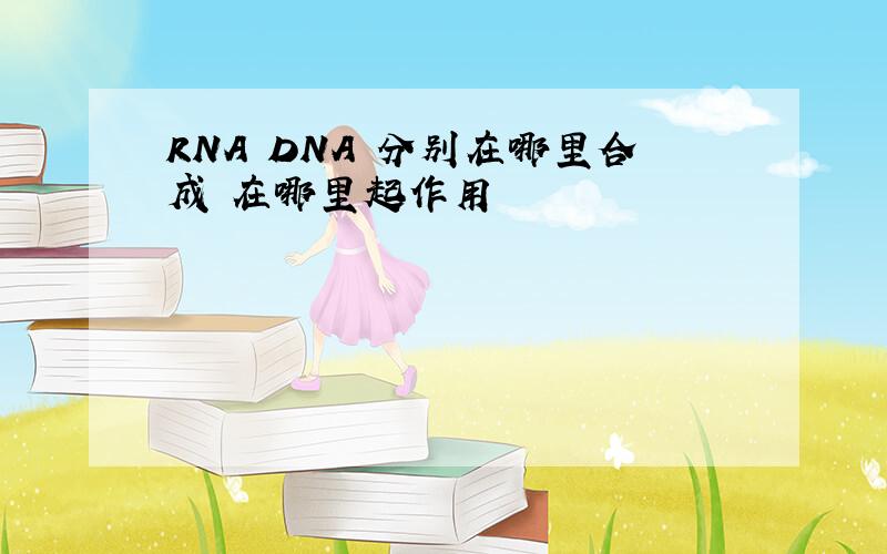 RNA DNA 分别在哪里合成 在哪里起作用
