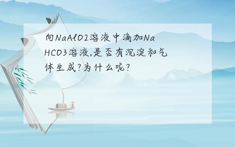 向NaAlO2溶液中滴加NaHCO3溶液,是否有沉淀和气体生成?为什么呢?
