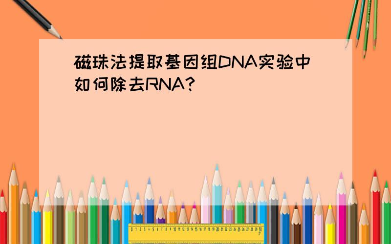 磁珠法提取基因组DNA实验中如何除去RNA?