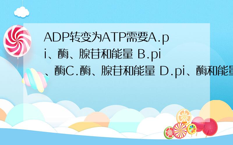 ADP转变为ATP需要A.pi、酶、腺苷和能量 B.pi、酶C.酶、腺苷和能量 D.pi、酶和能量