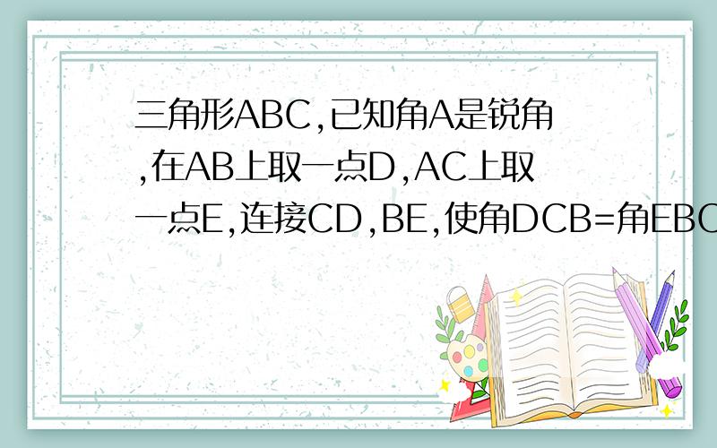 三角形ABC,已知角A是锐角,在AB上取一点D,AC上取一点E,连接CD,BE,使角DCB=角EBC=1/2角A,求BD与CE数量关