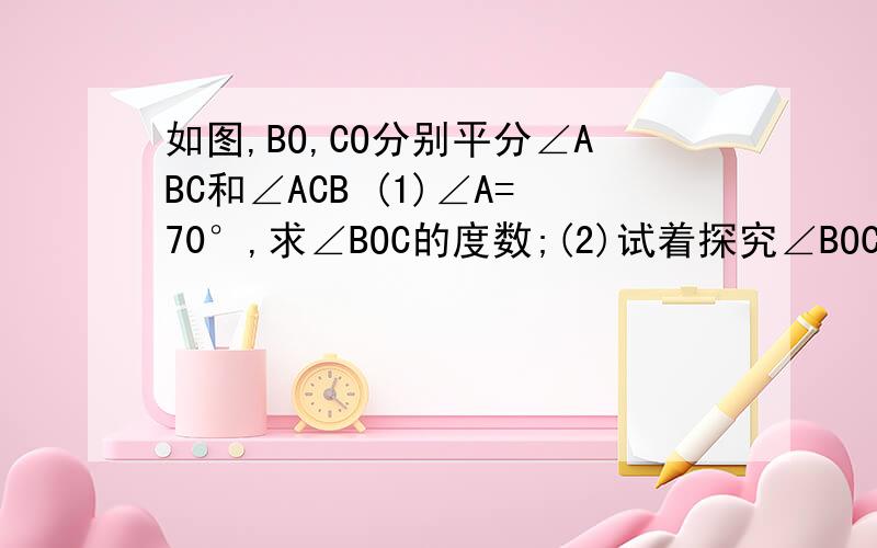 如图,BO,CO分别平分∠ABC和∠ACB (1)∠A=70°,求∠BOC的度数;(2)试着探究∠BOC与∠A的关系.求完整正确