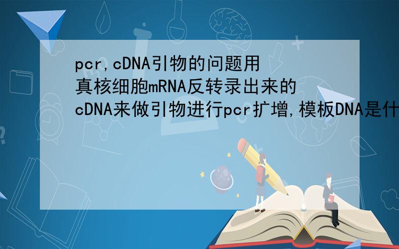 pcr,cDNA引物的问题用真核细胞mRNA反转录出来的cDNA来做引物进行pcr扩增,模板DNA是什么呢?如果是真核细胞中提取的DNA,那不也是有内含子的么?那我怎么来得到目的基因呢?第一个的意思是，在做m