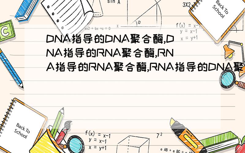 DNA指导的DNA聚合酶,DNA指导的RNA聚合酶,RNA指导的RNA聚合酶,RNA指导的DNA聚合酶的性质和作用的区别性质与作用的区别可否再详细具体点？