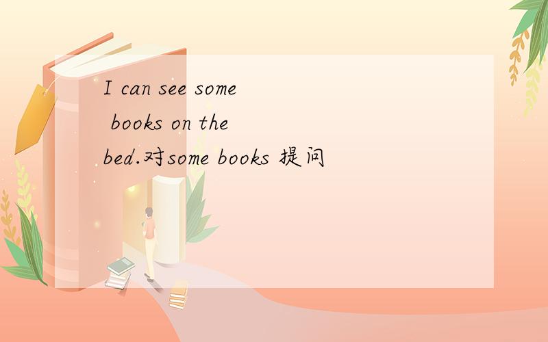I can see some books on the bed.对some books 提问