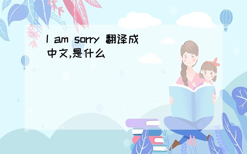 I am sorry 翻译成中文,是什么