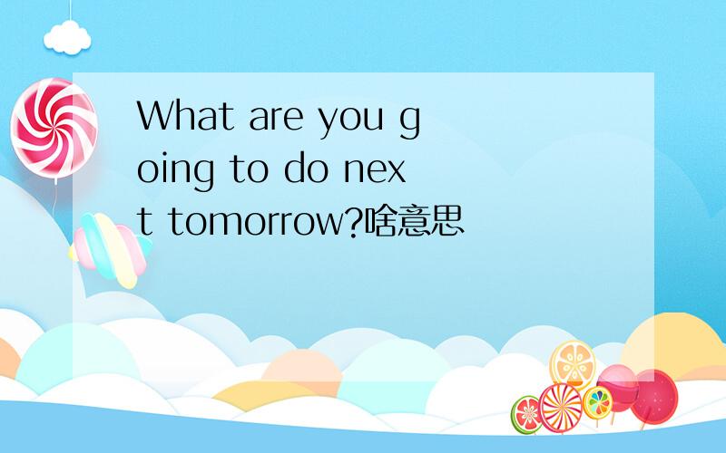 What are you going to do next tomorrow?啥意思