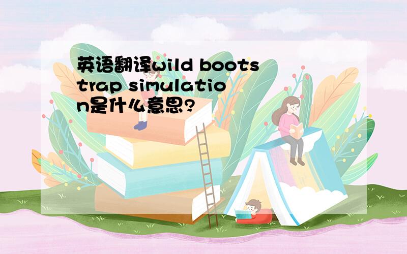 英语翻译wild bootstrap simulation是什么意思?