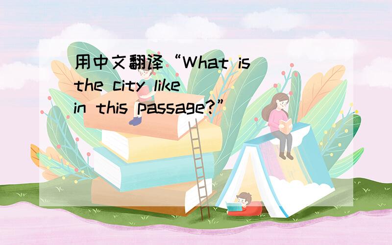 用中文翻译“What is the city like in this passage?”