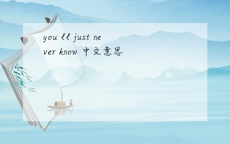 you ll just never know 中文意思
