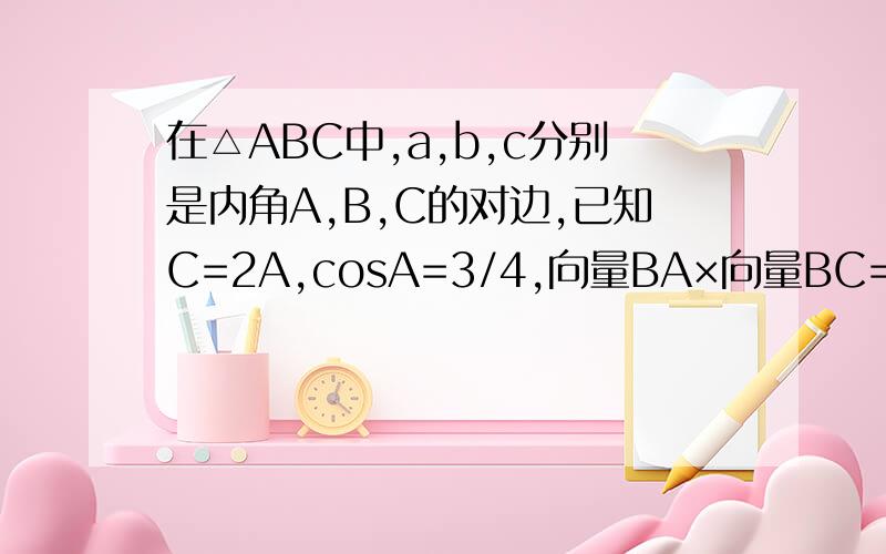 在△ABC中,a,b,c分别是内角A,B,C的对边,已知C=2A,cosA=3/4,向量BA×向量BC=27/2,（1）求cosB的值（2）求b的值.