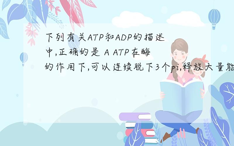下列有关ATP和ADP的描述中,正确的是 A ATP在酶的作用下,可以连续脱下3个pi,释放大量能量 B ATP在酶的作下列有关ATP和ADP的描述中，正确的是A ATP在酶的作用下，可以连续脱下3个pi，释放大量能