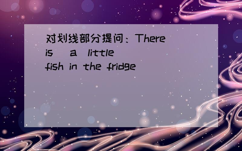 对划线部分提问：There is _a_little_ fish in the fridge